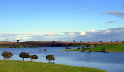 Evora, Beja, Mértola.  Moura, Barragem De Alqueva, Serpa.