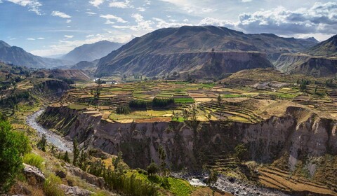 Arequipa - Canyon de Colca