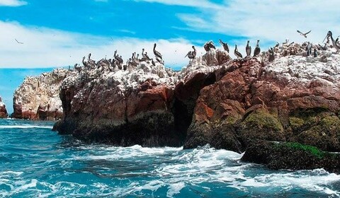 Iles Ballestas