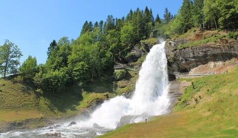 Bergen - Gol