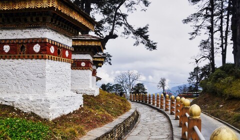 Thimphu - Gangtey