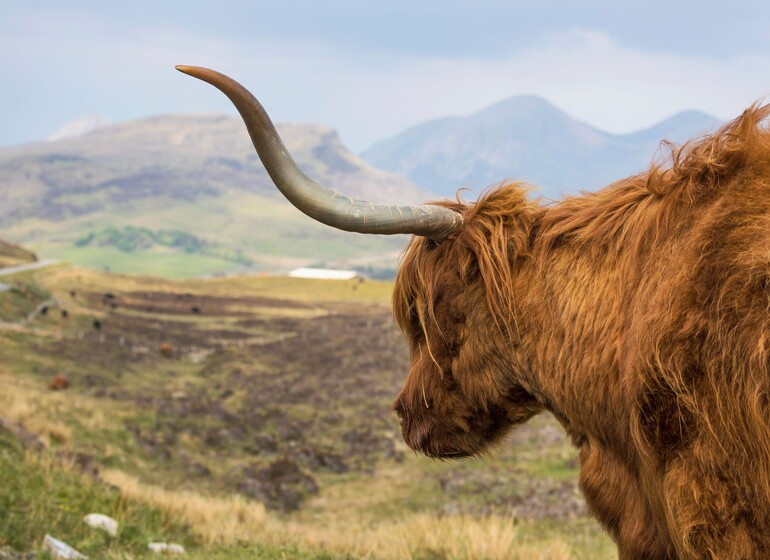 Le Tour Classique d'Ecosse avec voiture de location