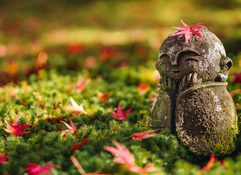 Momiji  : sous les feuilles rouges et or.